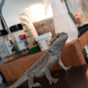 Meet your Posher, Zachery